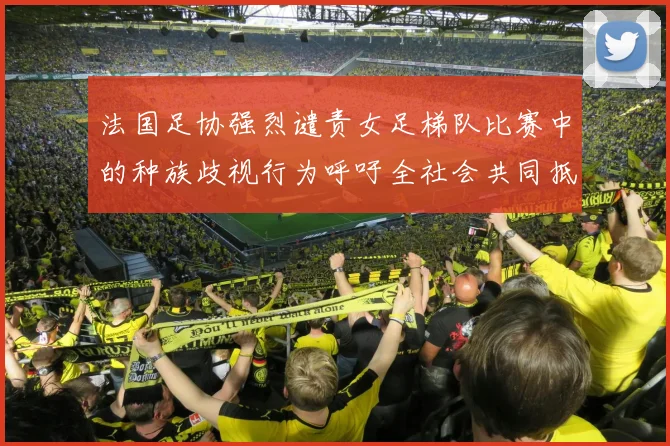 法国足协强烈谴责女足梯队比赛中的种族歧视行为呼吁全社会共同抵制