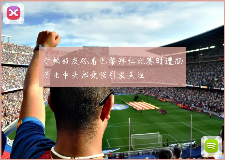 于帕好友观看巴黎拜仁比赛时遭瓶子击中头部受伤引发关注