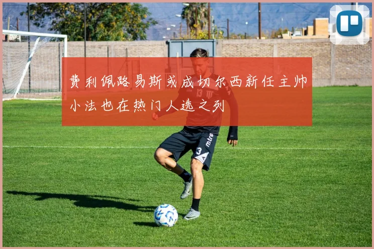 费利佩路易斯或成切尔西新任主帅小法也在热门人选之列